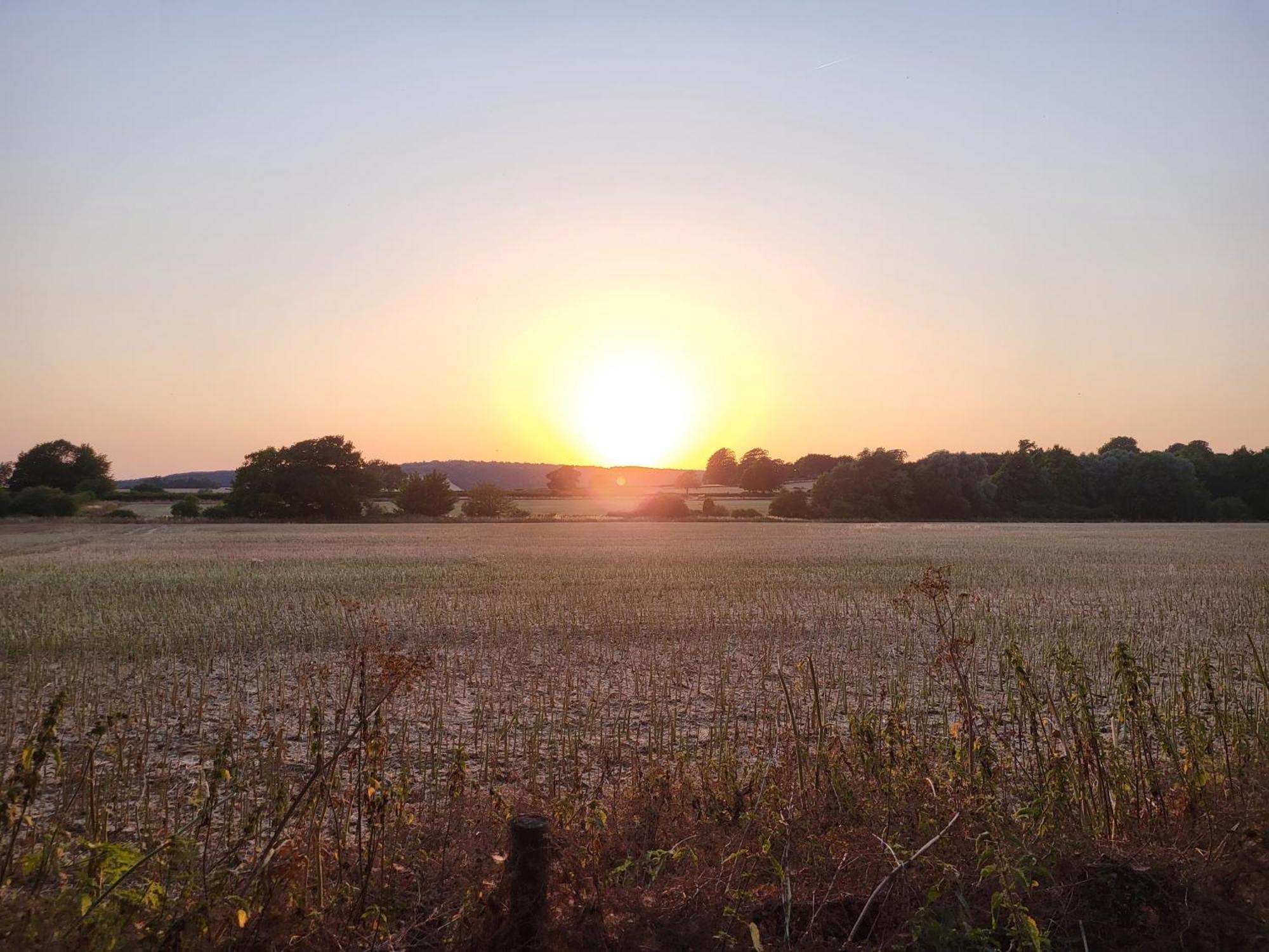 Unique & Rural Child Friendly Annexe With Large Gardens, Games & Tennis Court - Chichester Holiday Properties Buitenkant foto