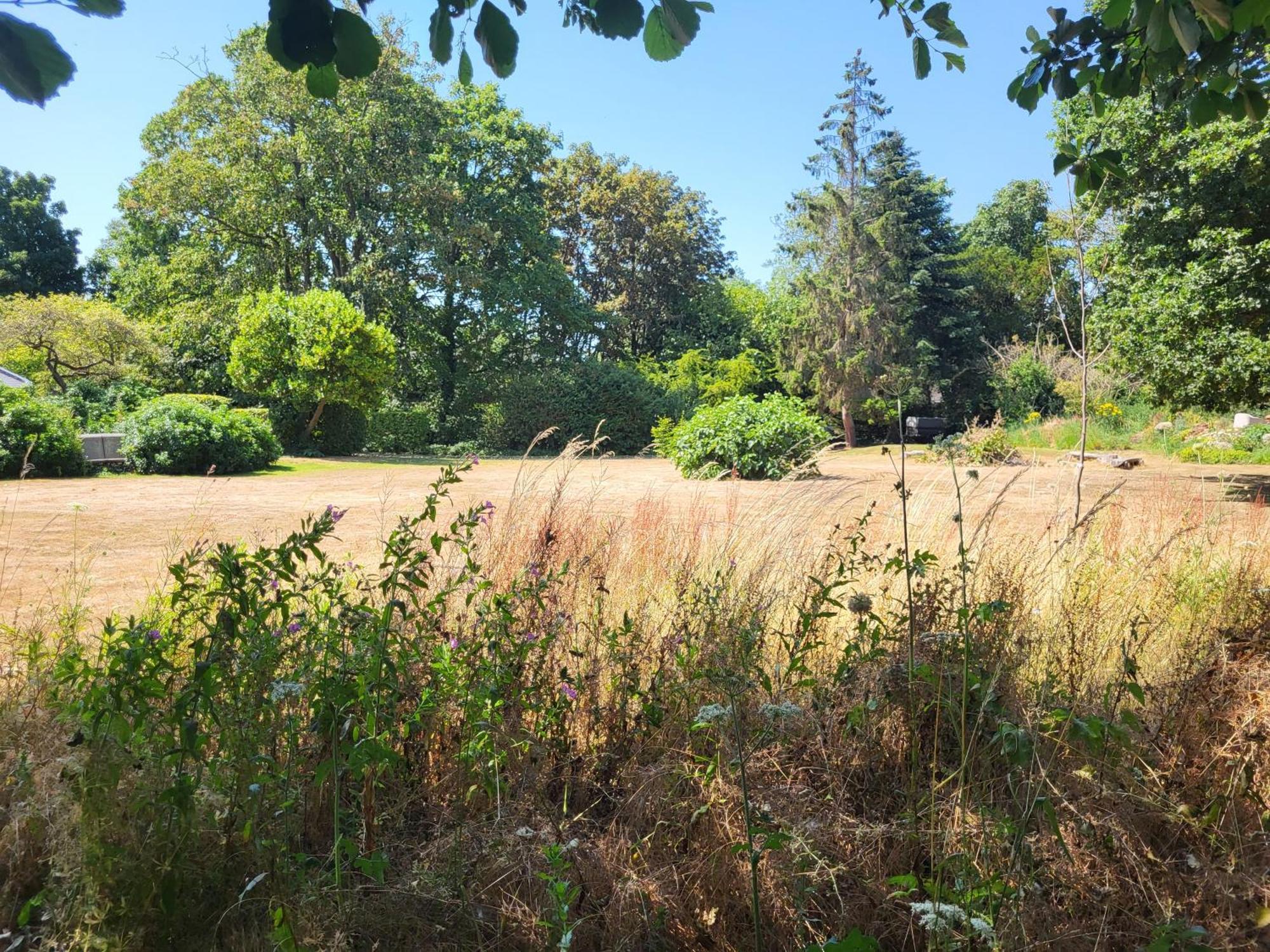 Unique & Rural Child Friendly Annexe With Large Gardens, Games & Tennis Court - Chichester Holiday Properties Buitenkant foto