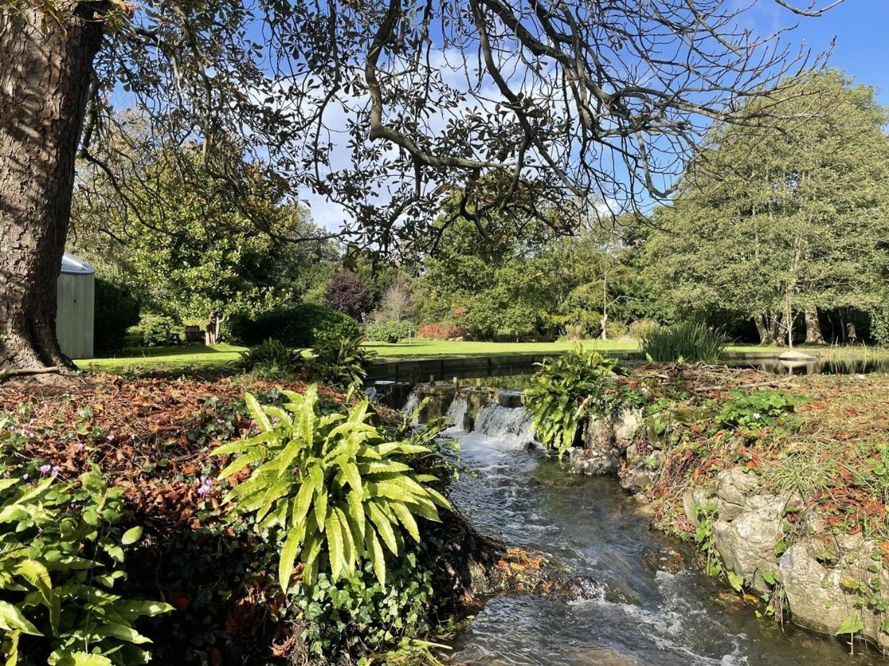 Unique & Rural Child Friendly Annexe With Large Gardens, Games & Tennis Court - Chichester Holiday Properties Buitenkant foto
