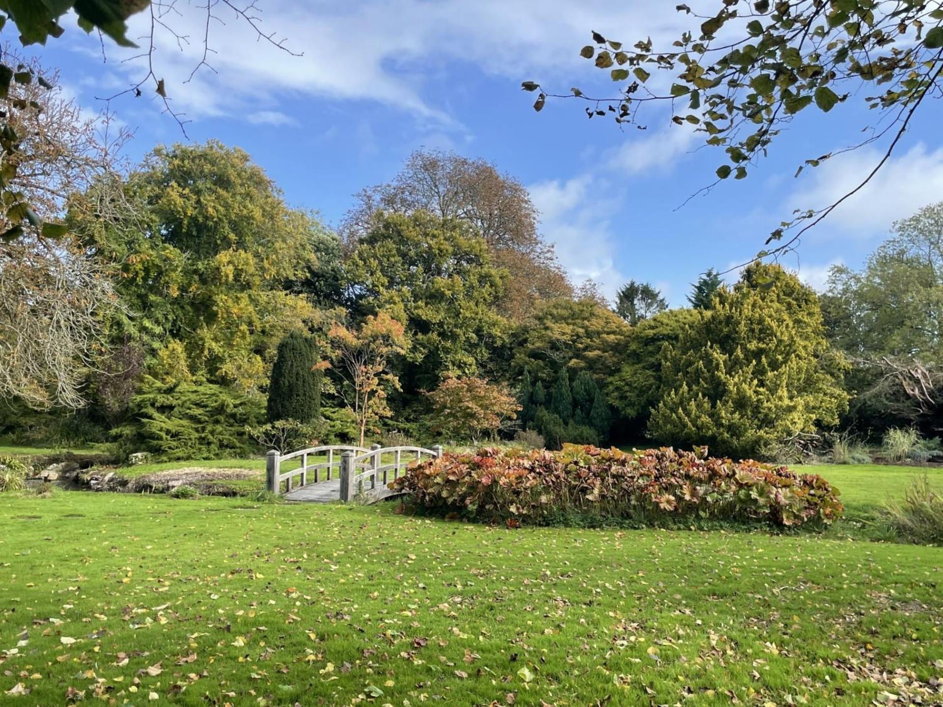 Unique & Rural Child Friendly Annexe With Large Gardens, Games & Tennis Court - Chichester Holiday Properties Buitenkant foto