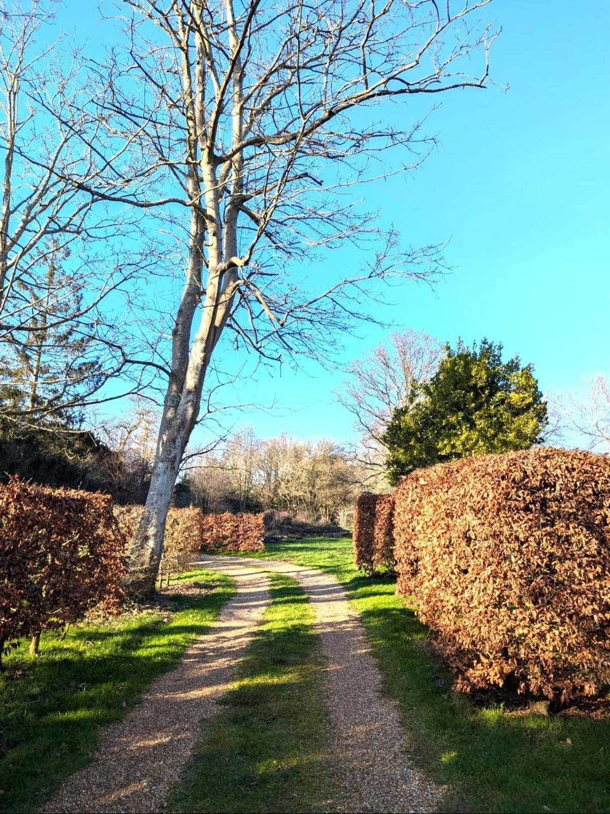 Unique & Rural Child Friendly Annexe With Large Gardens, Games & Tennis Court - Chichester Holiday Properties Buitenkant foto