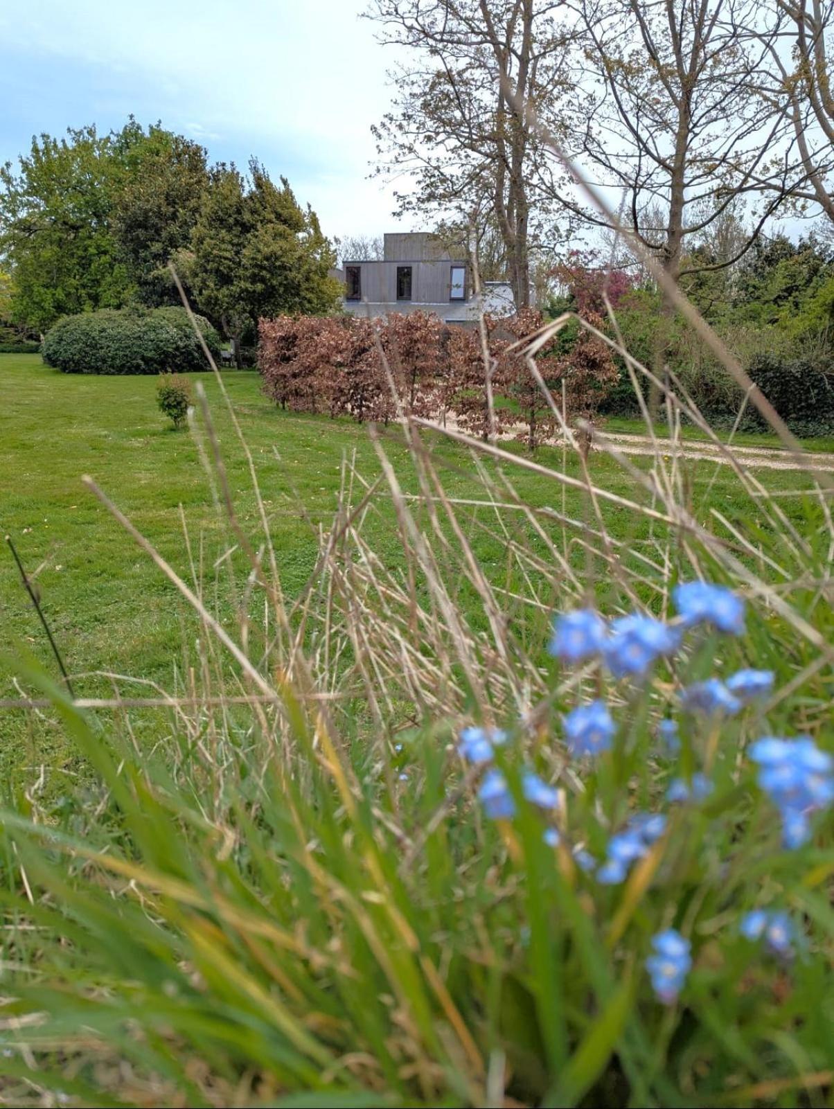 Unique & Rural Child Friendly Annexe With Large Gardens, Games & Tennis Court - Chichester Holiday Properties Buitenkant foto
