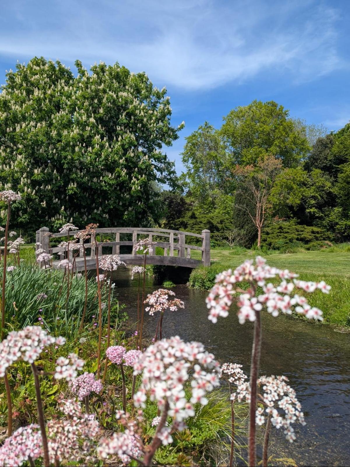 Unique & Rural Child Friendly Annexe With Large Gardens, Games & Tennis Court - Chichester Holiday Properties Buitenkant foto